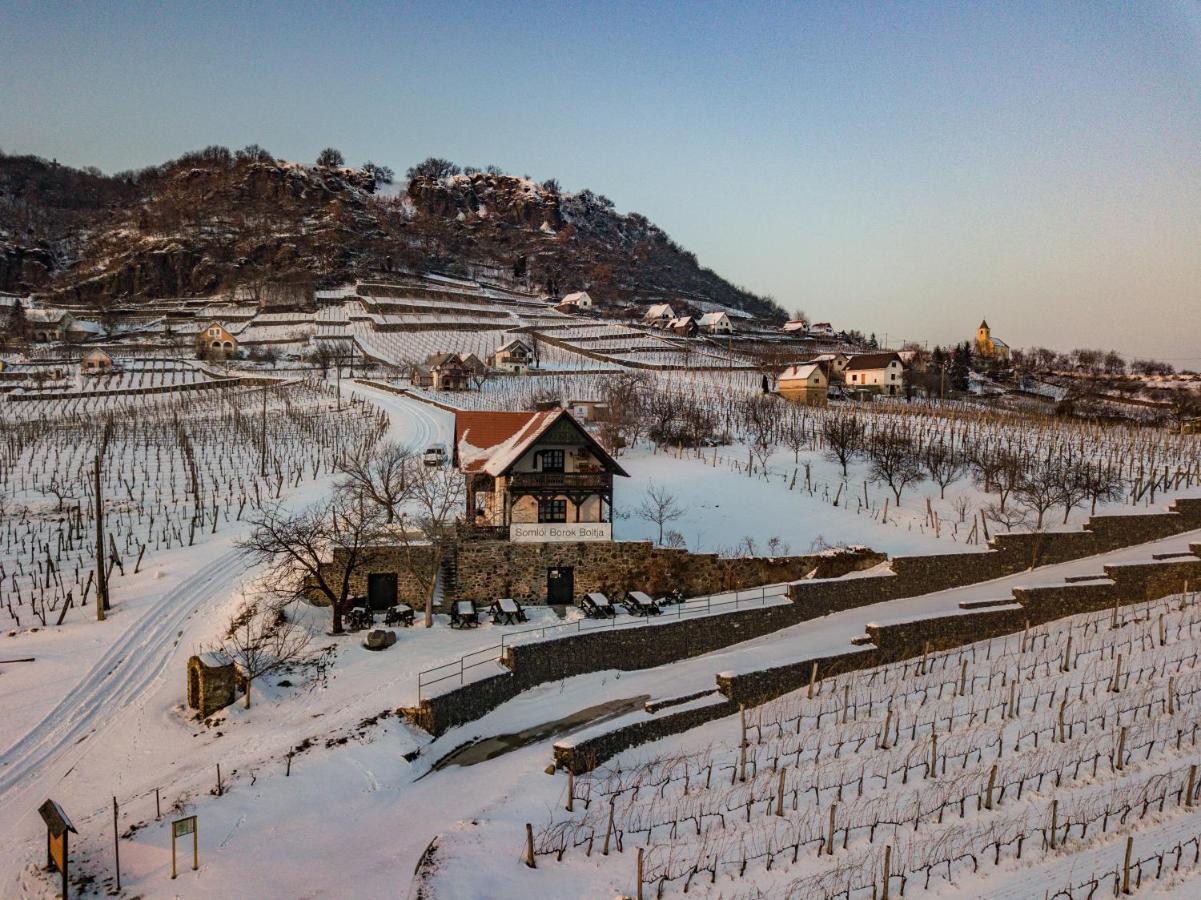 Somlo Wineshop Guesthouse Somlovasarhely Exteriér fotografie